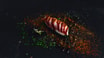 20. Flammegrillet Tun Nigiri