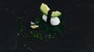 24. Avocado Nigiri
